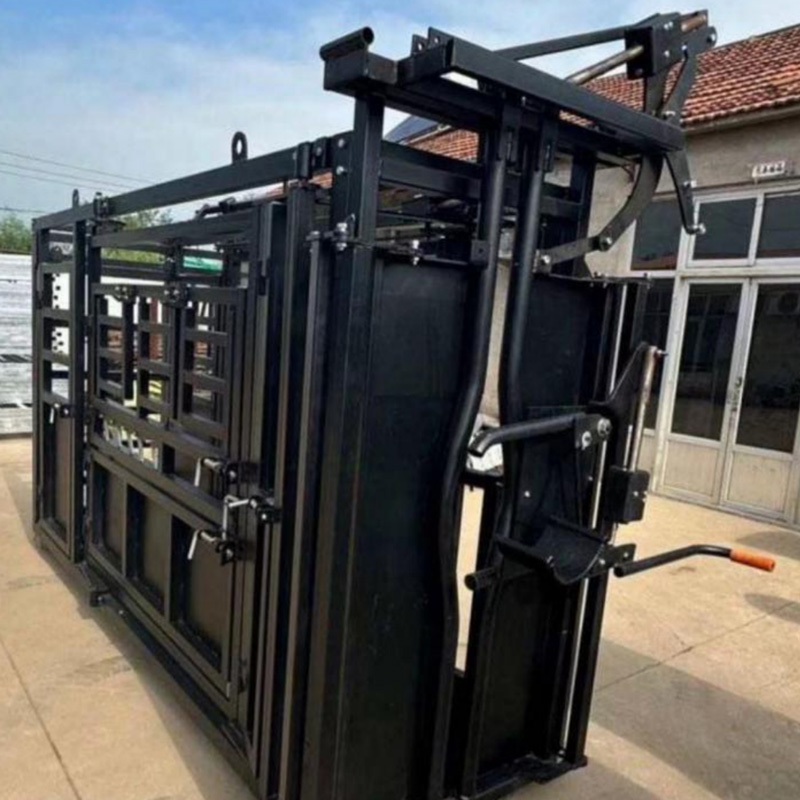 Seseti sa Likhomo Tsa Likhomo