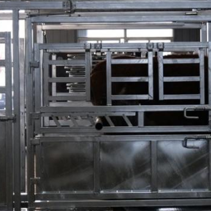 Boima ba Ts'epe ea Likhomo tsa Sesepa