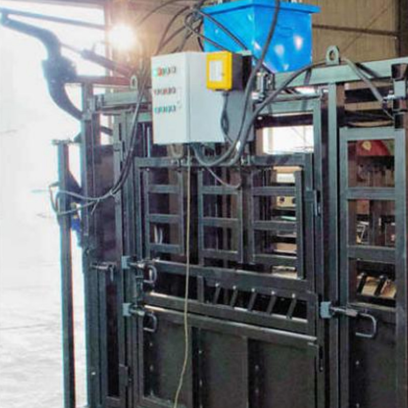 Motlakase oa khomo oa pshatla