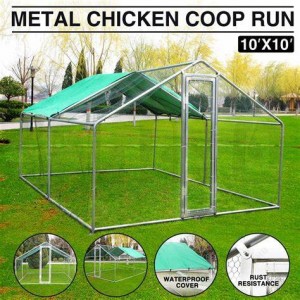 Large Metal Chicken Run