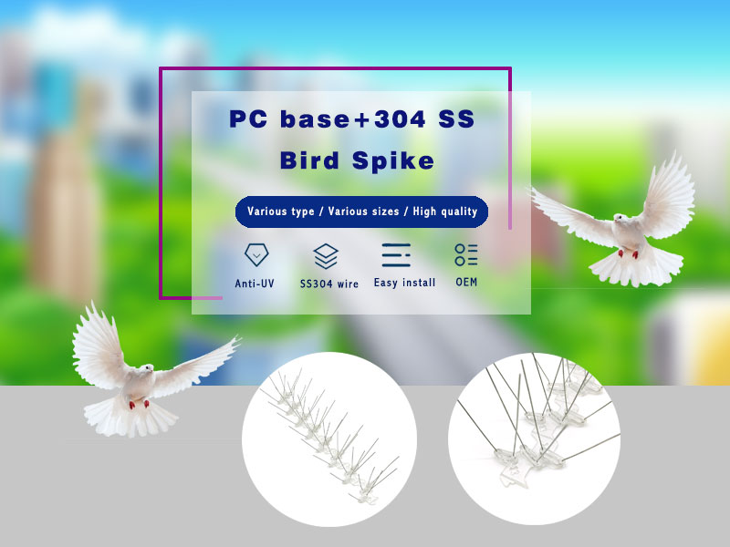 Stainless Steel Bird Spike 