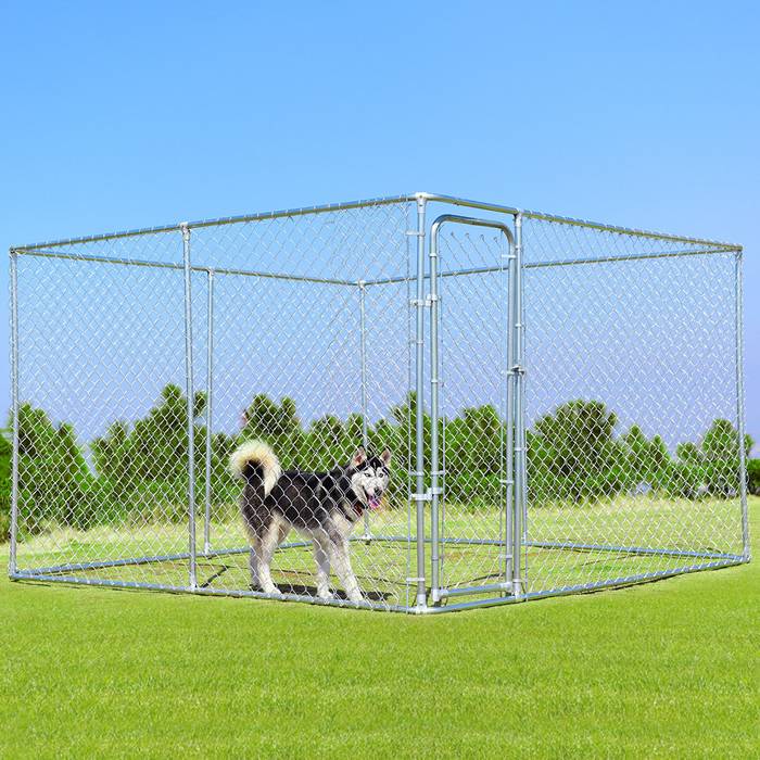 سگ پیوند زنجیر بدون پوشش اجرا می شود