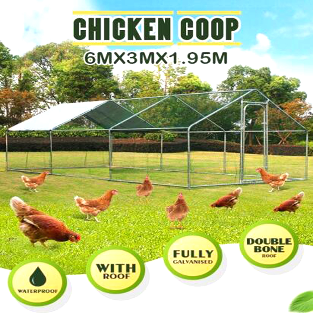 6M*3M&1.95M Chicken coop