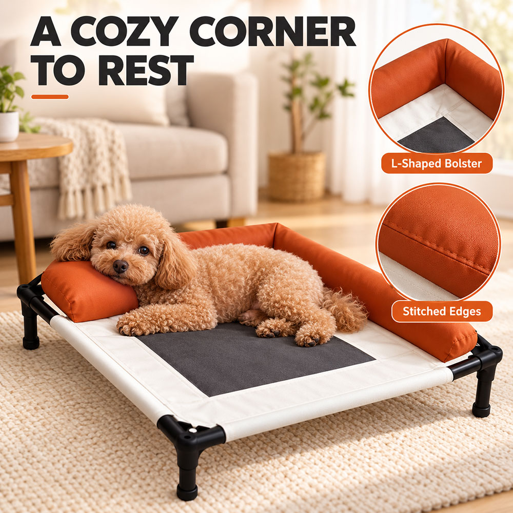 raised dog bed