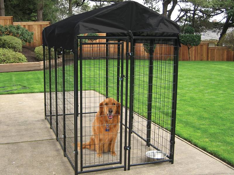 modular dog kennel backyard