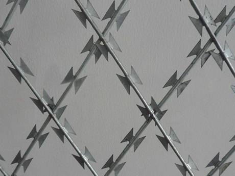 A piece of stainless steel welded razor wire mesh with diamond opening on the gray background.