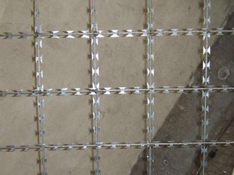 A piece of stainless steel welded razor wire mesh with square opening on the gray background.