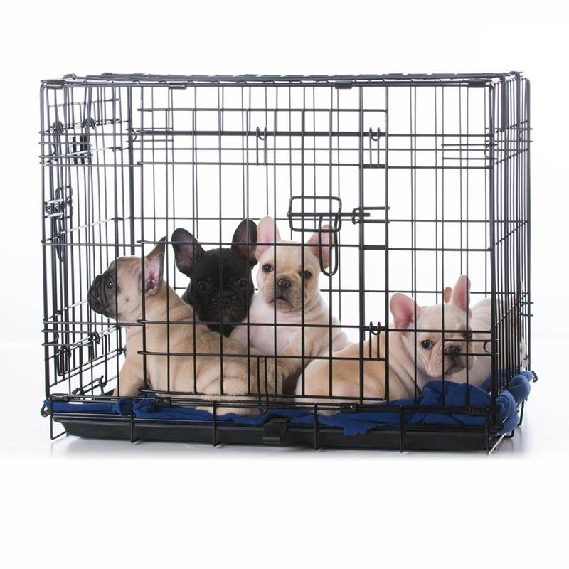https://www.wiremeshsupplier.com/portable-puppy-cat-rabbit-house-double-doors-wire-dog-cages-crates-pet-product/